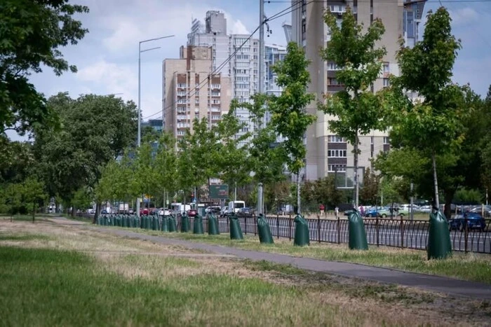 Київ продовжить використовувати торби для поливу дерев: як вони працюють
