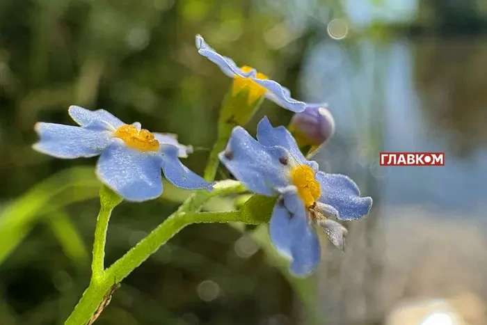 Переважно ясно, подекуди короткочасні дощі: погода на 2 вересня