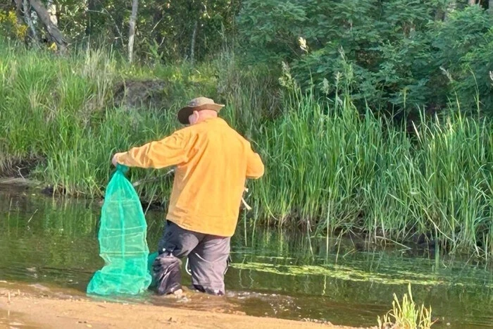 Яка риба водиться у Чорнобильській зоні: науковці виявили цікавий факт