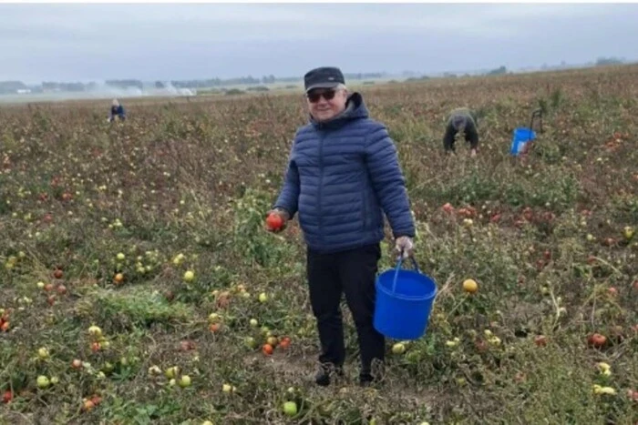 Помідори та сливи гниють на полях: польські фермери віддають урожай безкоштовно