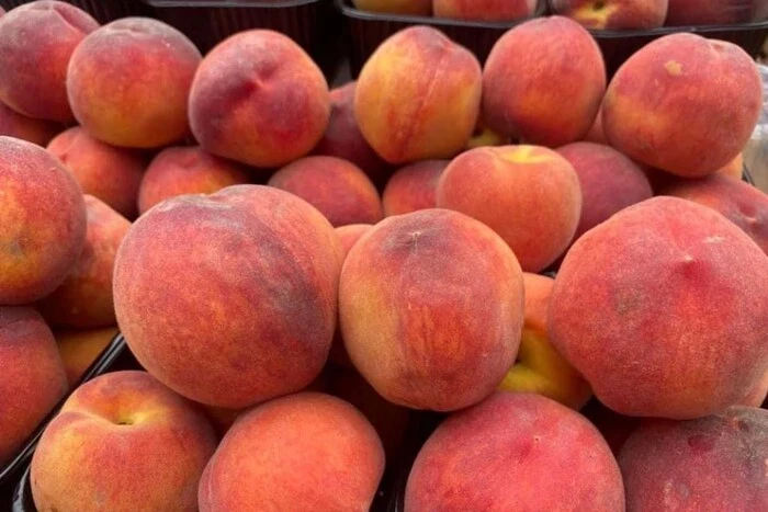 Продовольчі ярмарки у Києві 8-13 липня: де можна придбати фермерські продукти