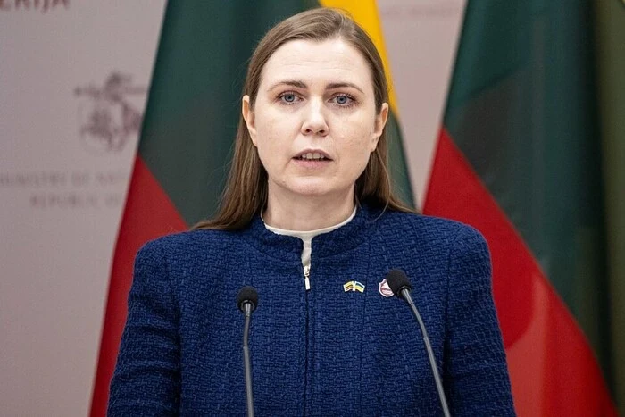 Литва збирається посилити ППО через інцидент з російським безпілотником