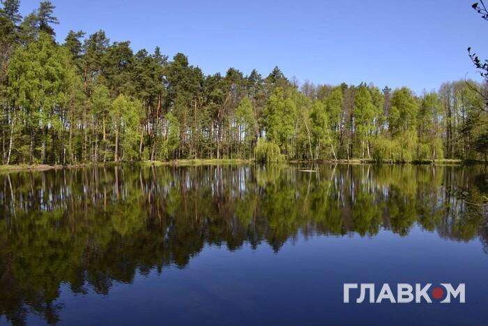 Озеро-кит посеред лісу: незвичайна природна локація на Житомирщині приваблює туристів