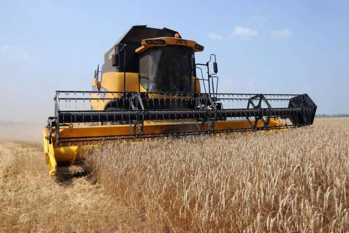 Україна зібрала 80% врожаю зернових