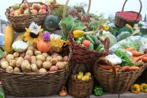 У столиці ярмарки: де можна купити свіжі й недорогі продукти