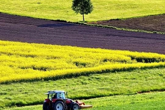 У Кабміні озвучили, скільки коштуватиме гектар землі після 1 липня