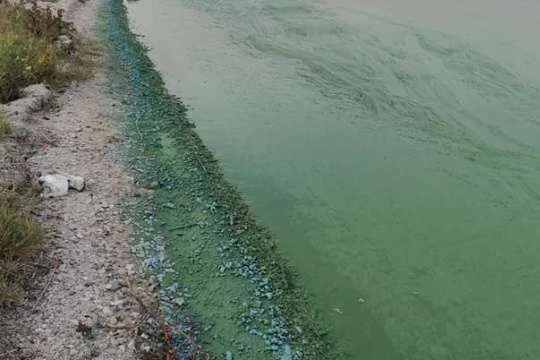 Вода Бузького лиману стала смарагдовою (фото)