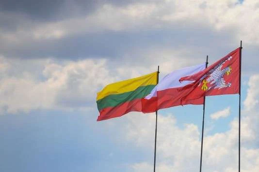 Польща та Литва відкликали частину своїх дипломатів з Білорусі