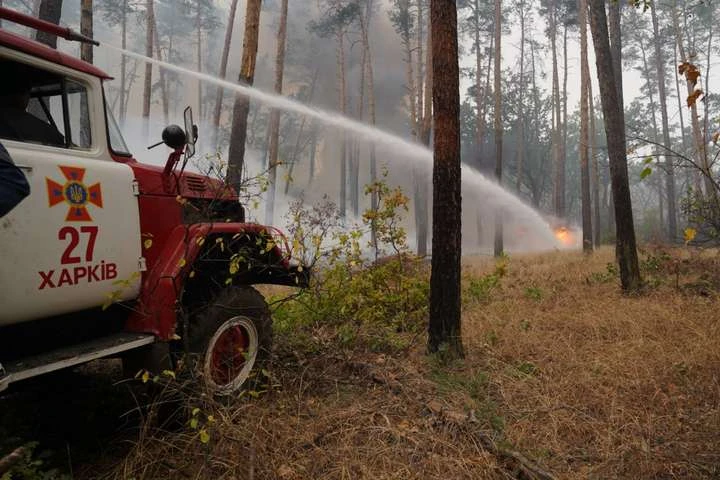 Рятувальники ліквідували на Луганщині ще два осередки пожеж