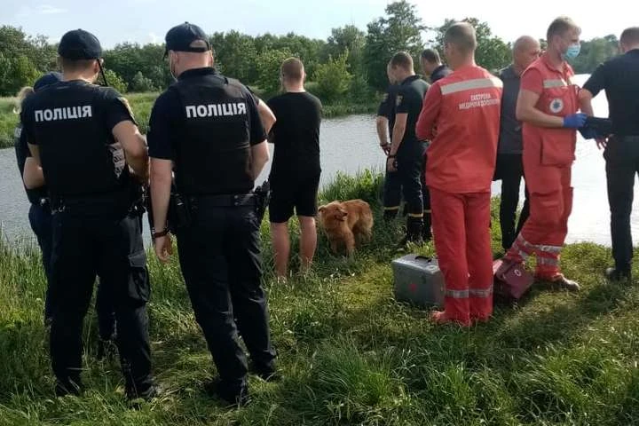 Трагедія на Київщині: 13-річна дівчинка потонула, рятуючи подружку