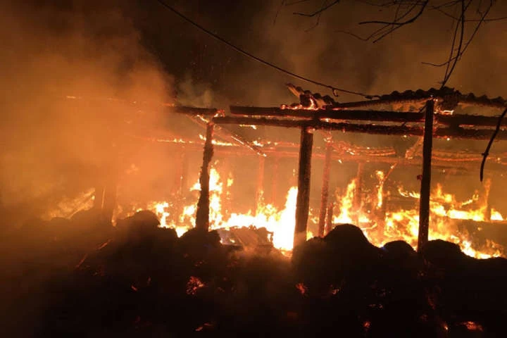 У пожежі на Харківщині живцем згоріли півсотні свиней