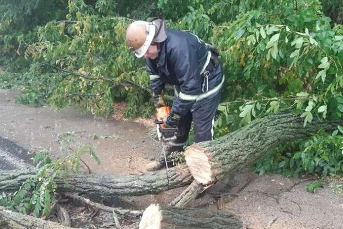 У Полтаві відвідувачі кав’ярні дивом уникли смерті чи каліцтва (відео)