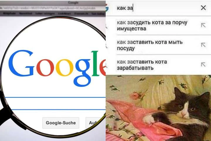 Поисковые запросы, которые заставят вас хохотать в голос