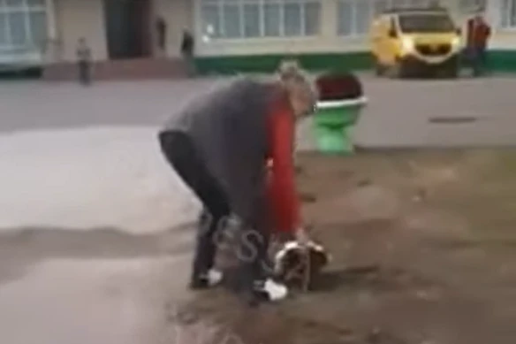 Відео ганьби: квіти, посаджені біля школи на честь приїзду мера Одеси, викопали, коли він поїхав
