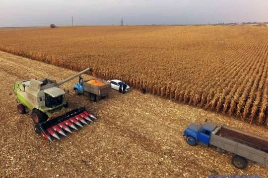 Мінекономіки уточнило прогноз урожаю зерна на 2020 рік