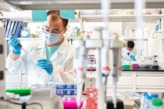 У людей, які перенесли коронавірус, зберігається довгий імунітет – нове дослідження