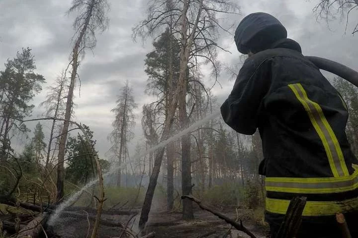 Пожежі на Луганщині: рятувальникам залишилось загасити один осередок займання