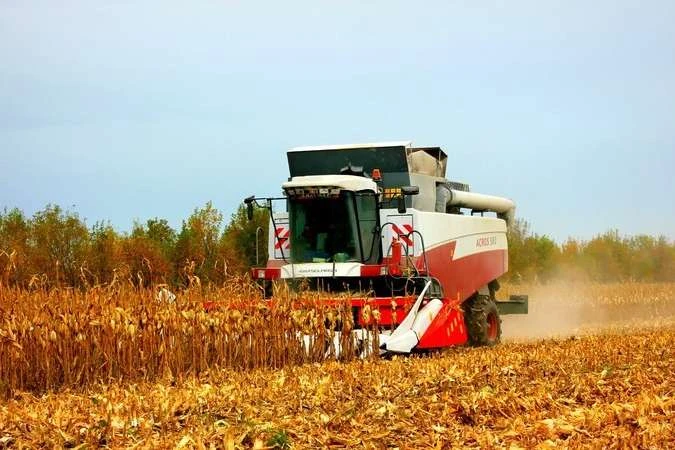 В Україні зібрано майже 65 млн тонн основних культур