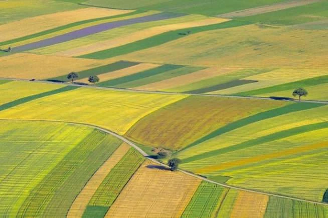 У земельний кадастр внесено 32 млн га землі, – Держгеокадастр