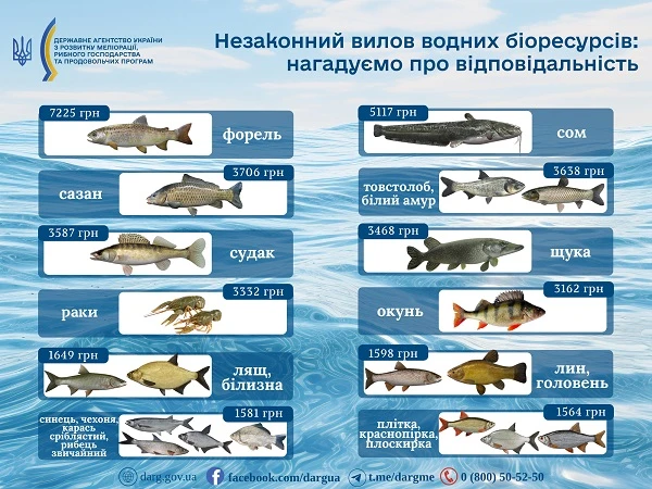 Штрафи, конфіскація й в’язниця: що чекає порушників правил рибальства