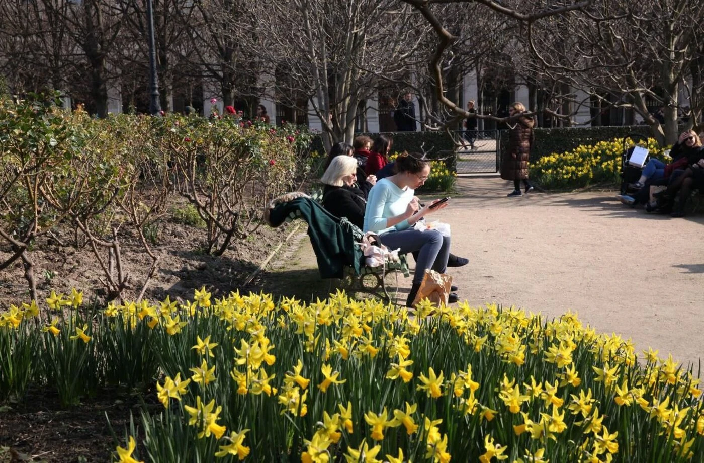 Fin de l’hiver : pourquoi l’équinoxe de printemps tombe encore un 20 mars cette année