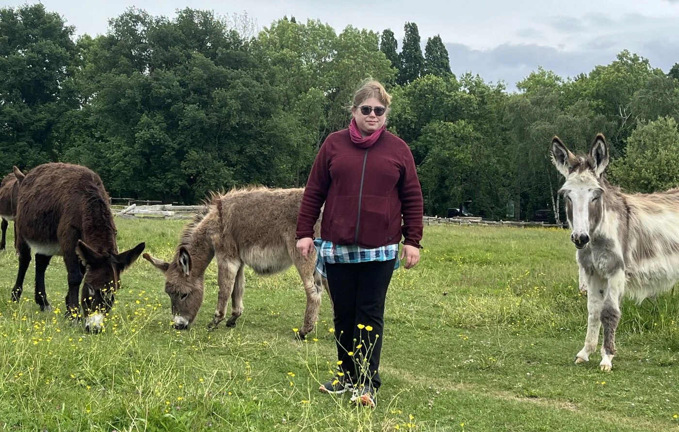 « Un bout de campagne et de joie qui disparaît » : à Chennevières-sur-Marne, les ânes tirent leur révérence