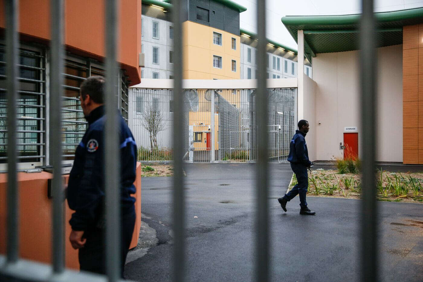 « Un sentiment de toute-puissance » : violent avec son ex et maltraitant avec ses chiens, il repart en prison