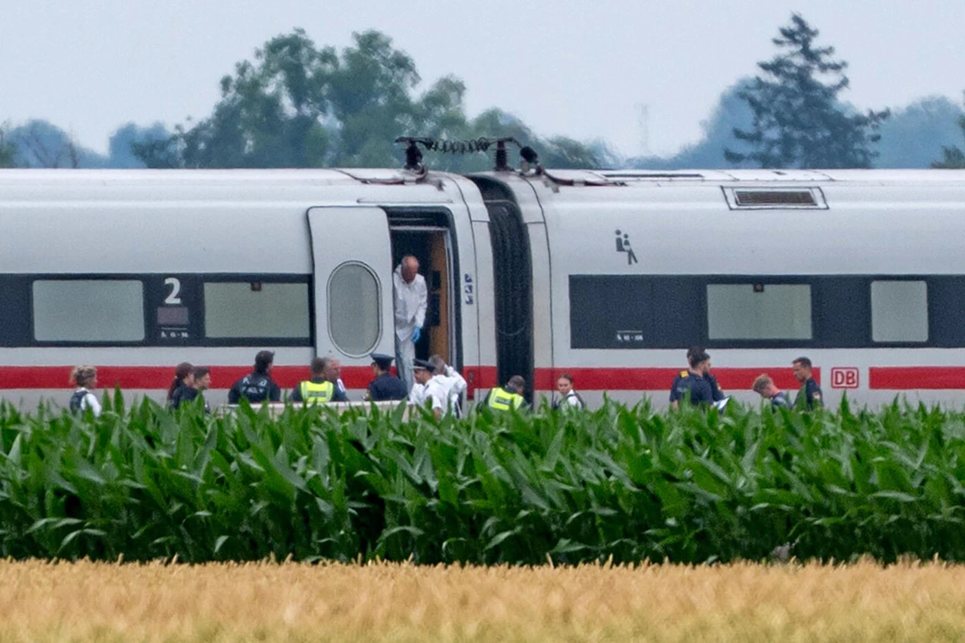Attaque dans un train allemand : le suspect atteint de troubles mentaux et hospitalisé dans un établissement psychiatrique