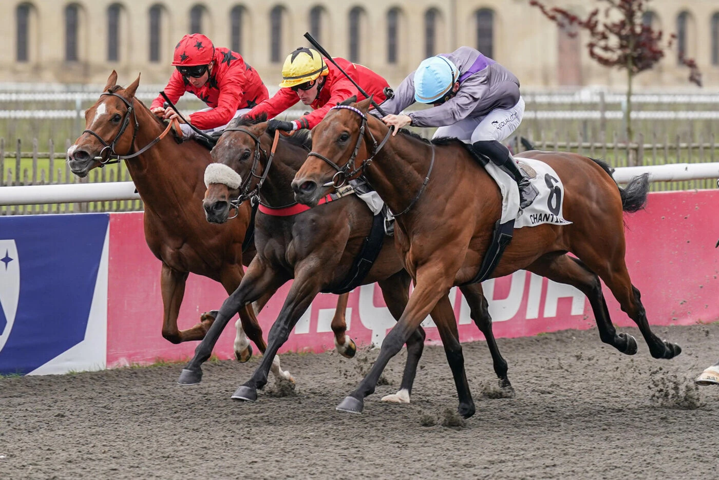 Arrivée du quinté du mardi 19 mai à Chantilly : le coup du chapeau de Zelzari