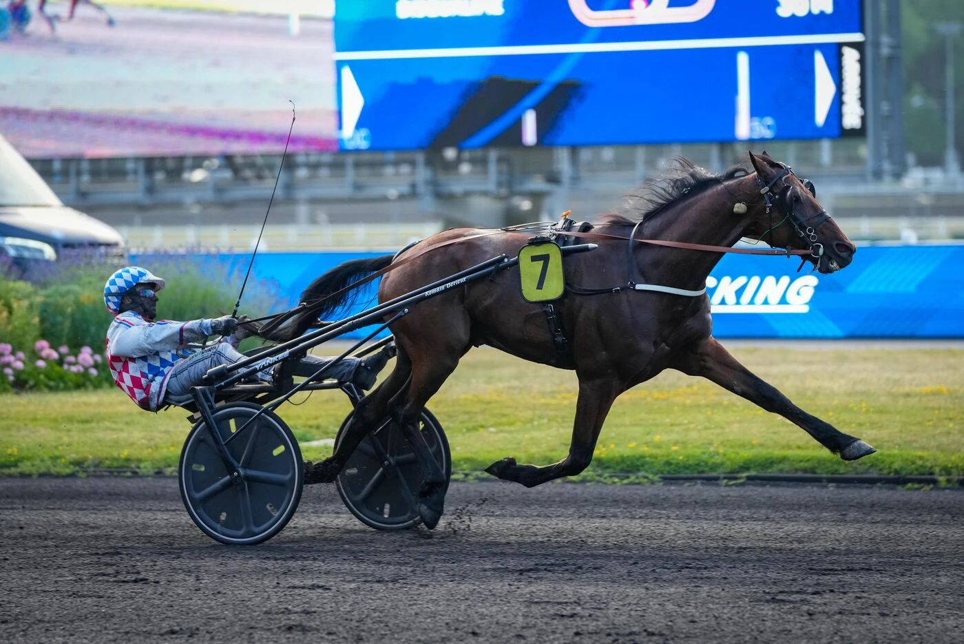 Arrivée du quinté du vendredi 13 juin à Paris Vincennes : Ibis Quick ou la forme de Romain Derieux