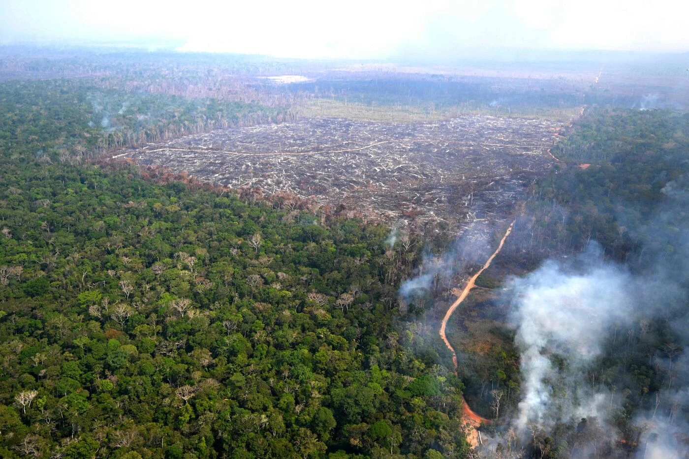 30 millions d’hectares brûlés, une augmentation de 62 %… Le Brésil et l’Amazonie ravagés par les feux de forêt en 2024