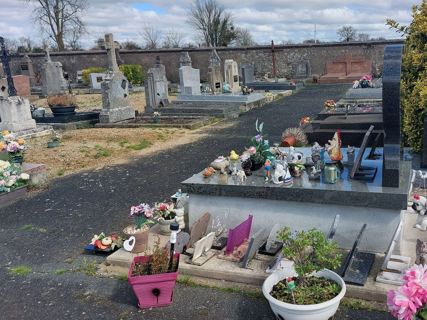 « C’est très intrigant » : des ossements humains dissimulés retrouvés dans une tombe près de Toulouse