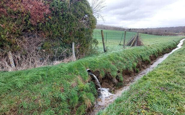 Polluants éternels : dans les Yvelines, même le minuscule ru de Fontenay est contaminé 