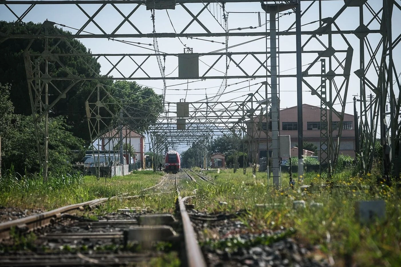 «Accueillir huit trains par jour» : dans les Pyrénées-Orientales, les défenseurs des petites lignes repartent au combat