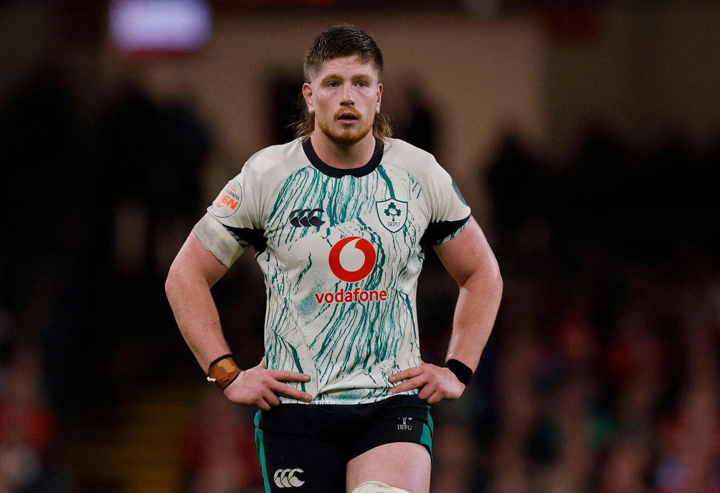 Galles-Irlande (18-27) : ce que change la victoire sans bonus des Irlandais pour le XV de France