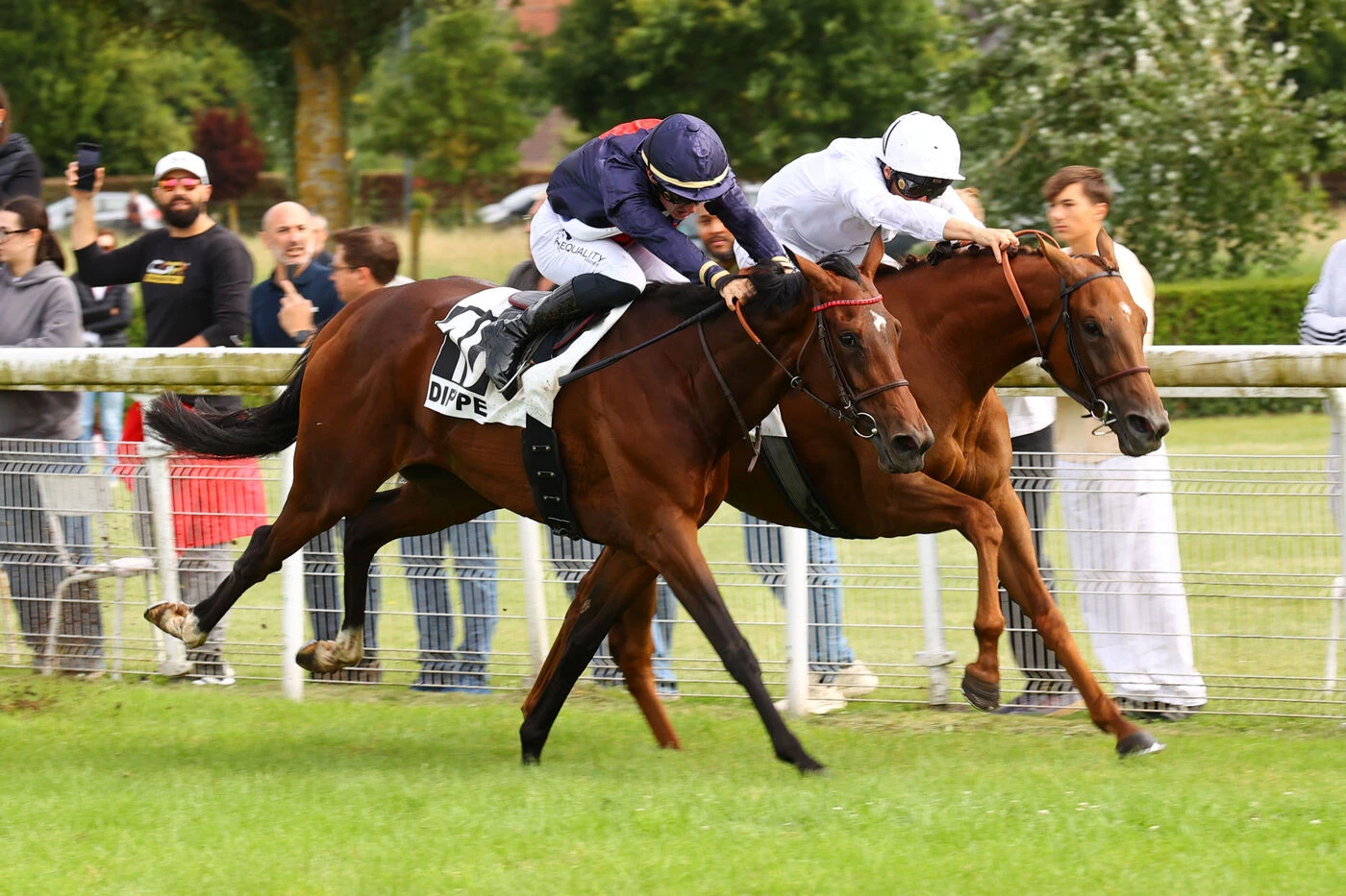 Arrivée du quinté du mardi 22 juillet à Dieppe : Dialla fait forte impression