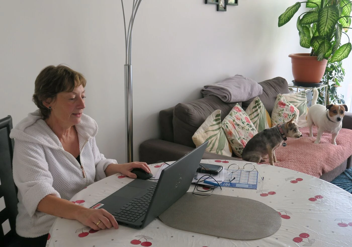 «  Je suis avec mes chiens et mes chats » : comment la chimiothérapie à domicile change la vie des malades