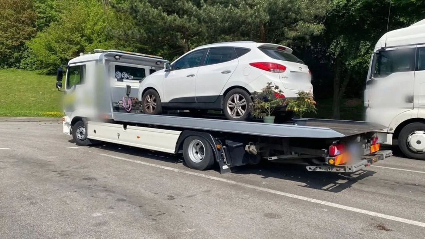 Oise : flashé à 171 km/h sur l’A16, le conducteur alcoolisé transportait des plants de cannabis