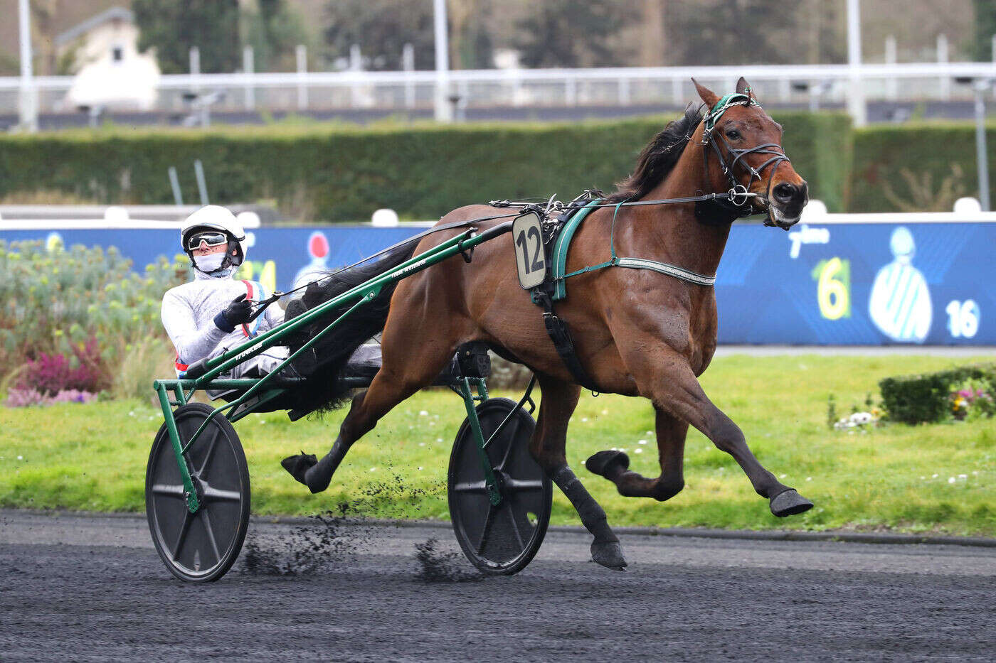 Arrivée du quinté du mercredi 26 à Paris-Vincennes : Alexande Abrivard et Ninepoints Lasse, un tandem redoutable