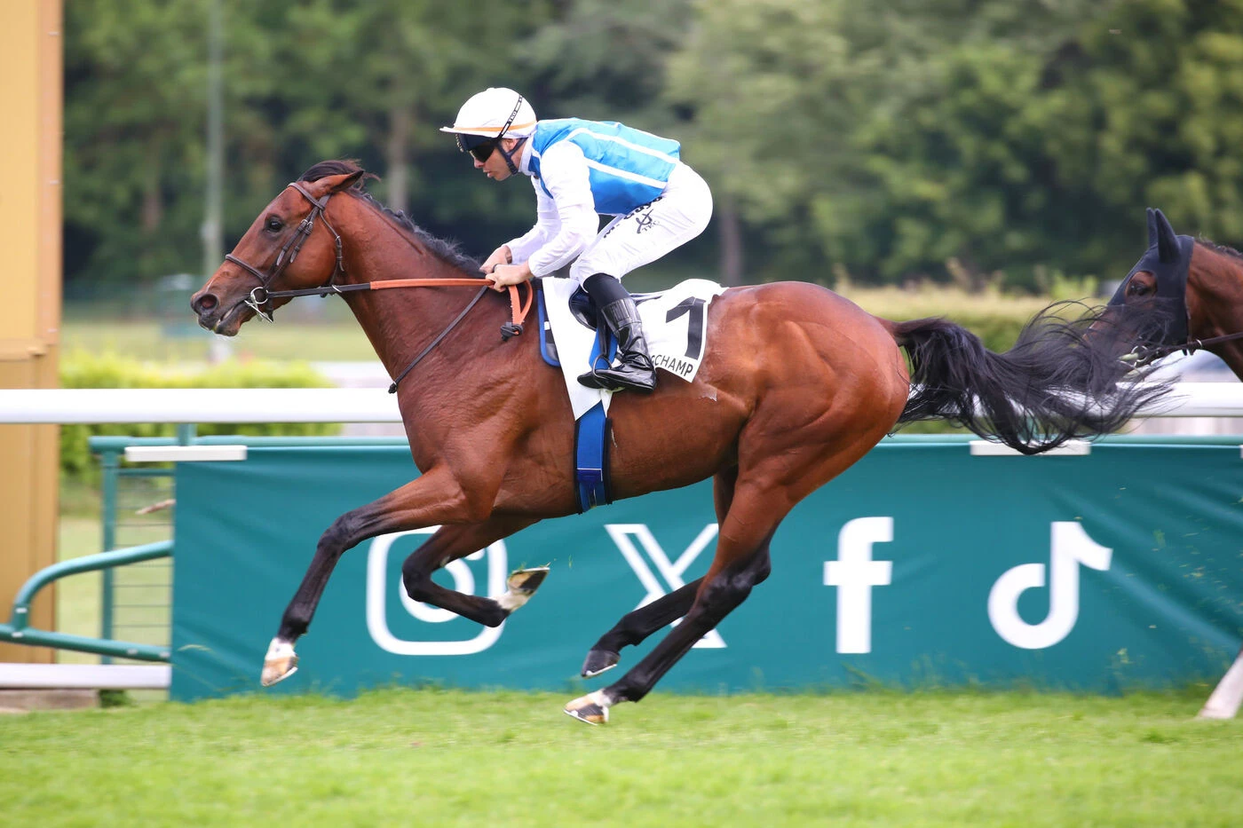 Arrivée du quinté du dimanche 25 mai à ParisLongchamp : Zingaro se révèle