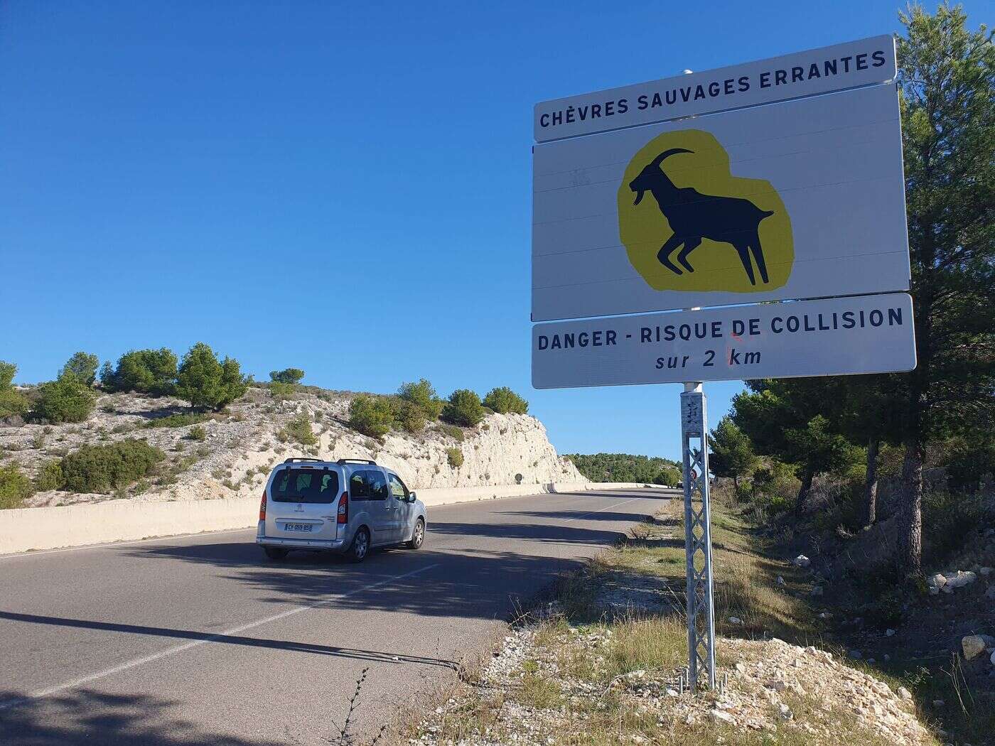 Près de Marseille, des panneaux sur l’autoroute A 55 pour signaler la présence de chèvres sauvages !