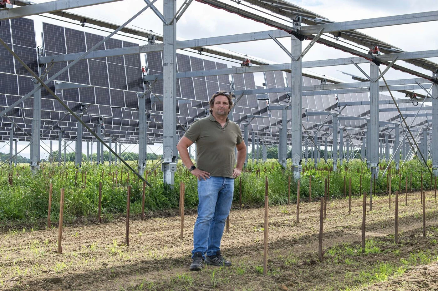 Des ombrières photovoltaïques pour protéger les vignes contre le gel, la grêle et la chaleur