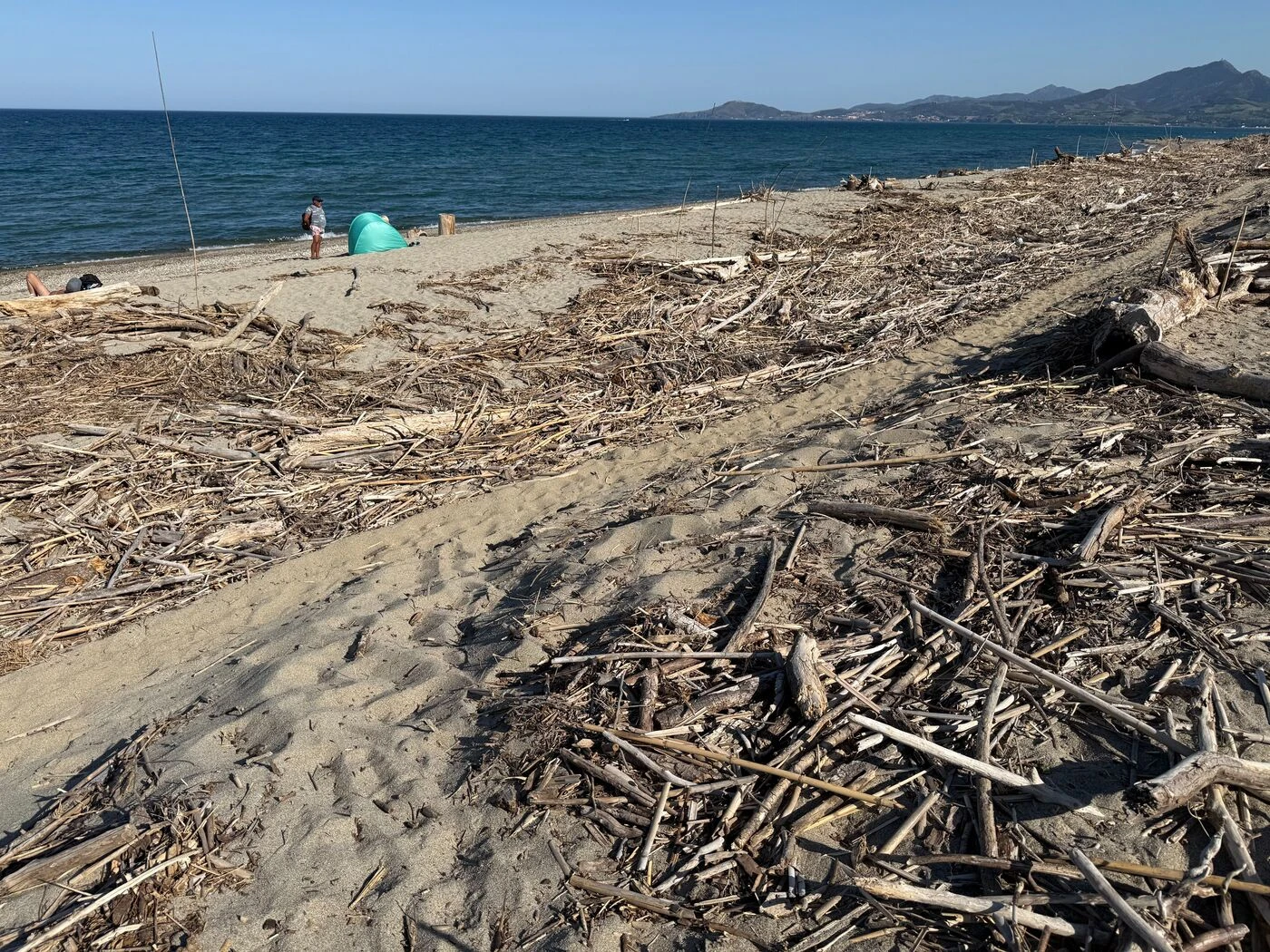 « C’est un peu la honte » : le Bocal du Tech, plage de rêve dans le chaos d’un chantier de nettoyage tardif