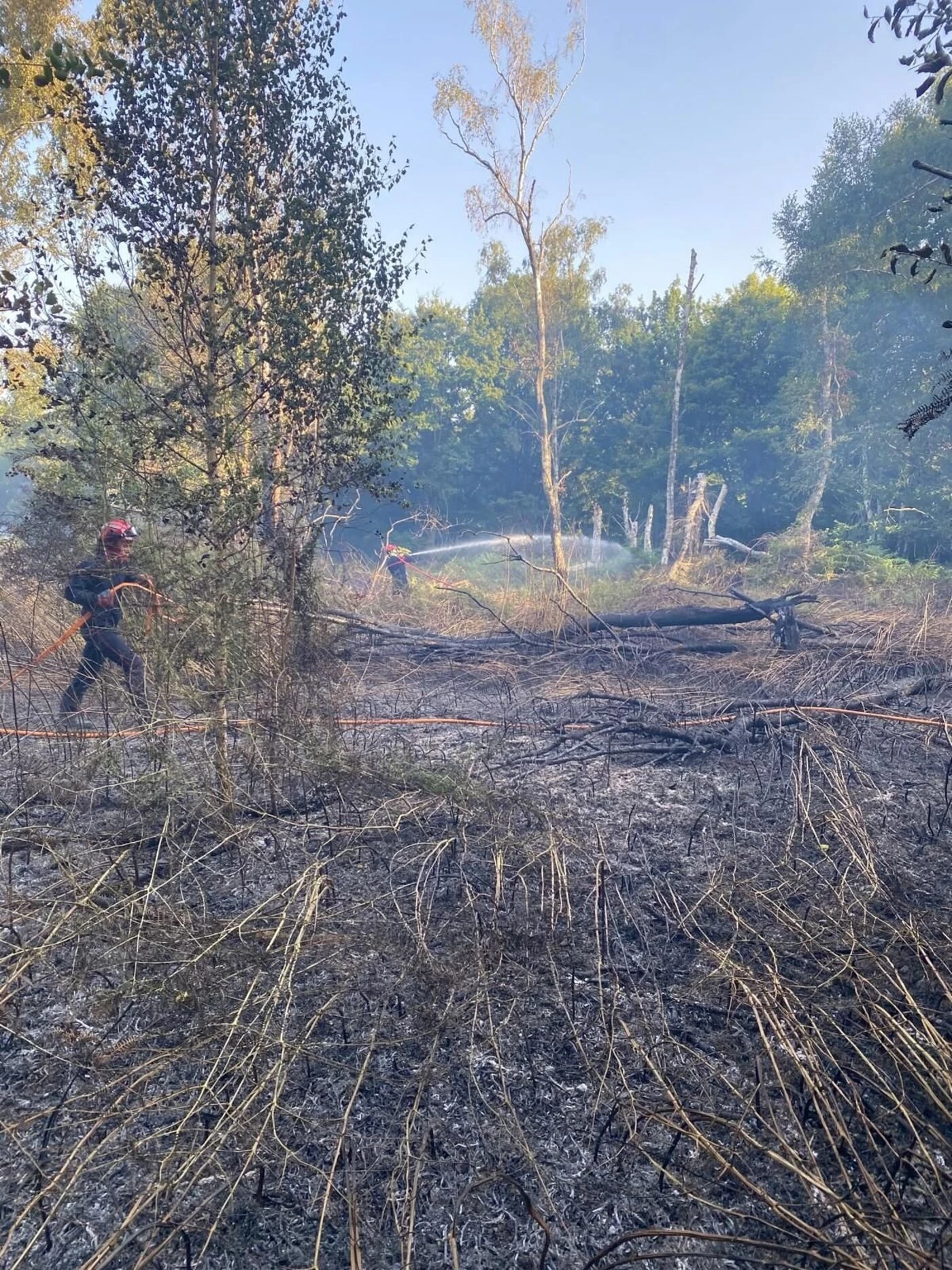 « Un acte gratuit et totalement irresponsable » : à Yerres, 2 000 m2 de forêt ravagés dans un incendie