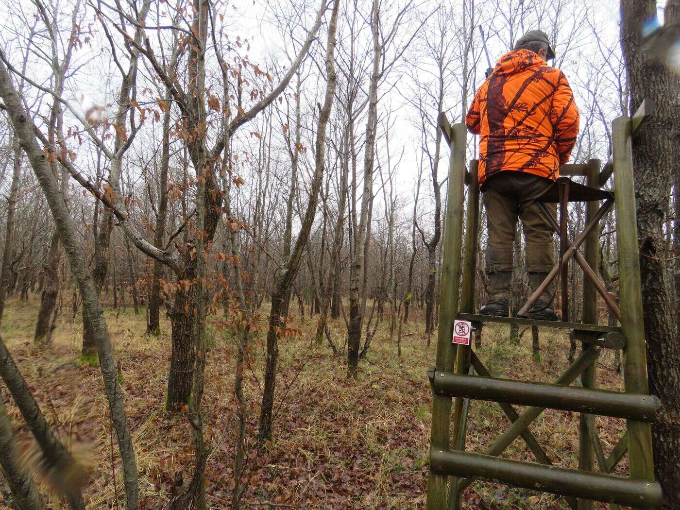 « Vous pouvez les reconstruire, nous repasserons » : une vingtaine de miradors de chasse détruits par des activistes dans l’Yonne