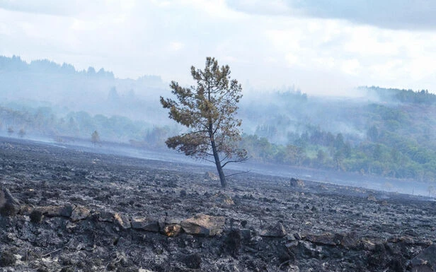 Incendies : nord de la France, sites industriels... de nouvelles zones à risque