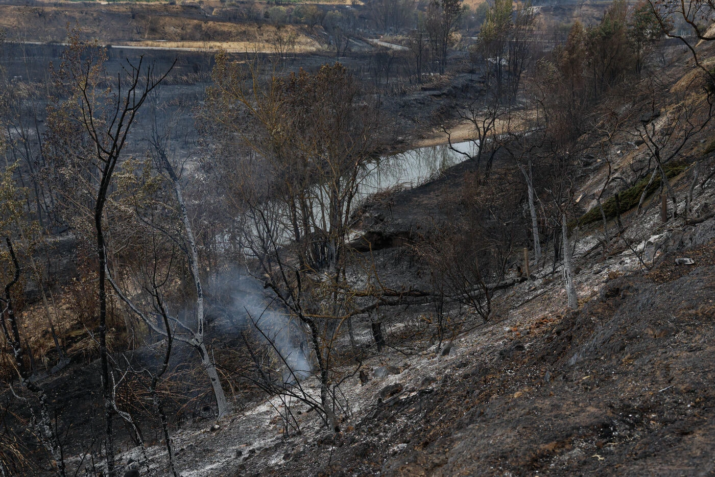 Incendie dans l’Aude : le feu pourrait être éteint dans les prochains jours