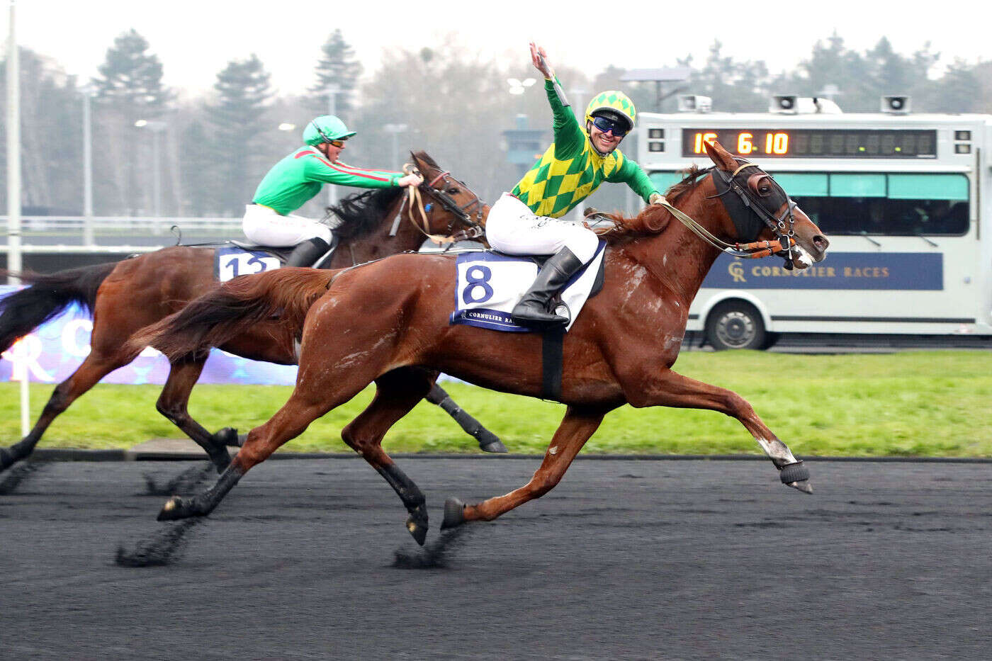 PMU – Arrivée du quinté du dimanche 19 janvier à Vincennes : Joumba de Guez sur un nuage