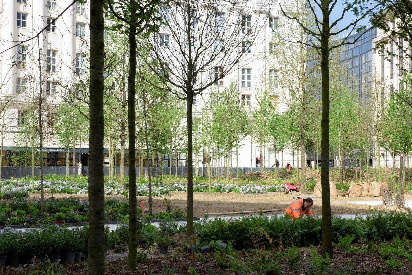 Et si vous deveniez jardinier de la Ville de Paris ? 80 postes sont à pourvoir
