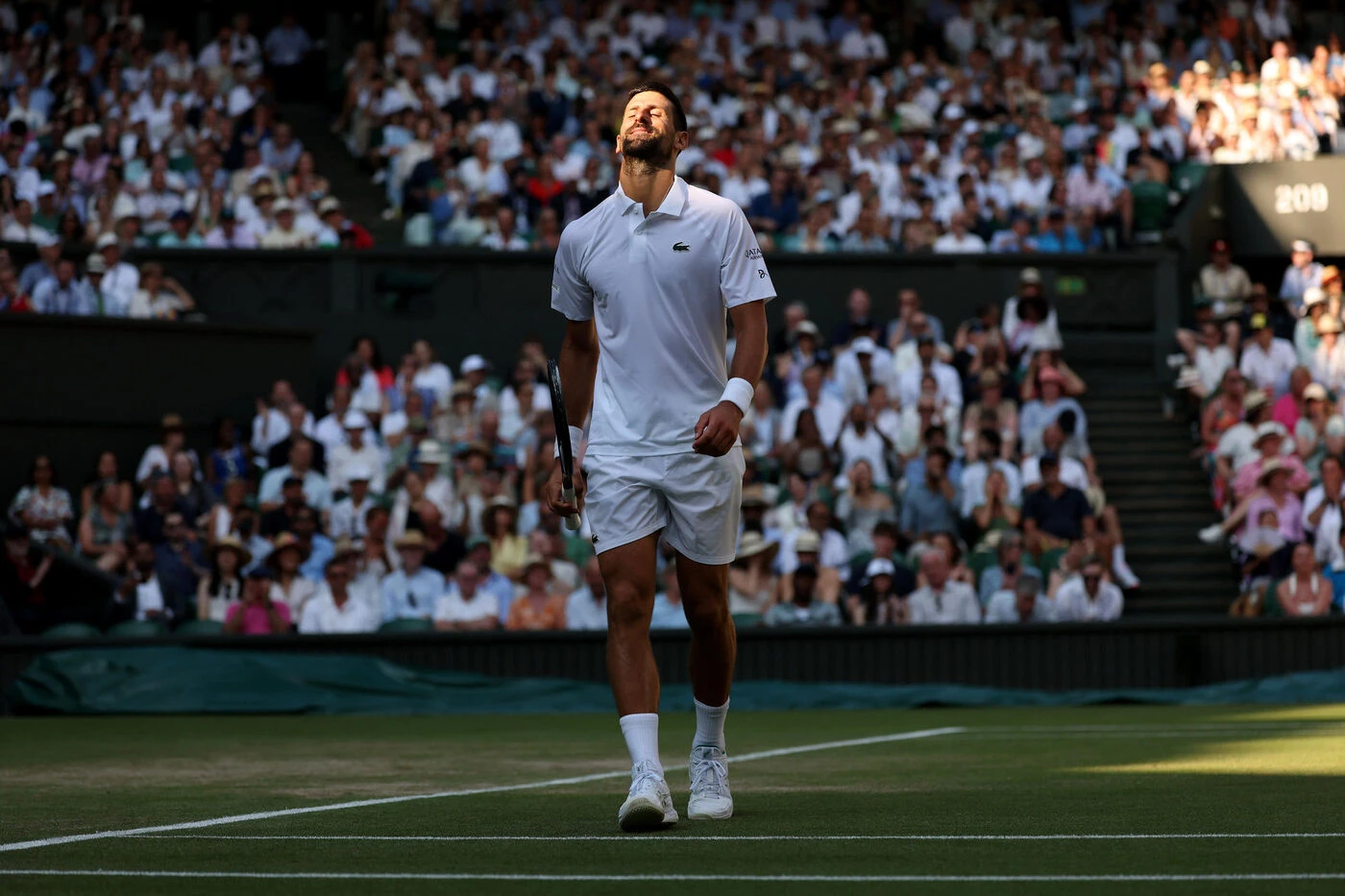 Wimbledon : vaincu en demi-finale, Novak Djokovic promet de revenir « au moins une fois »